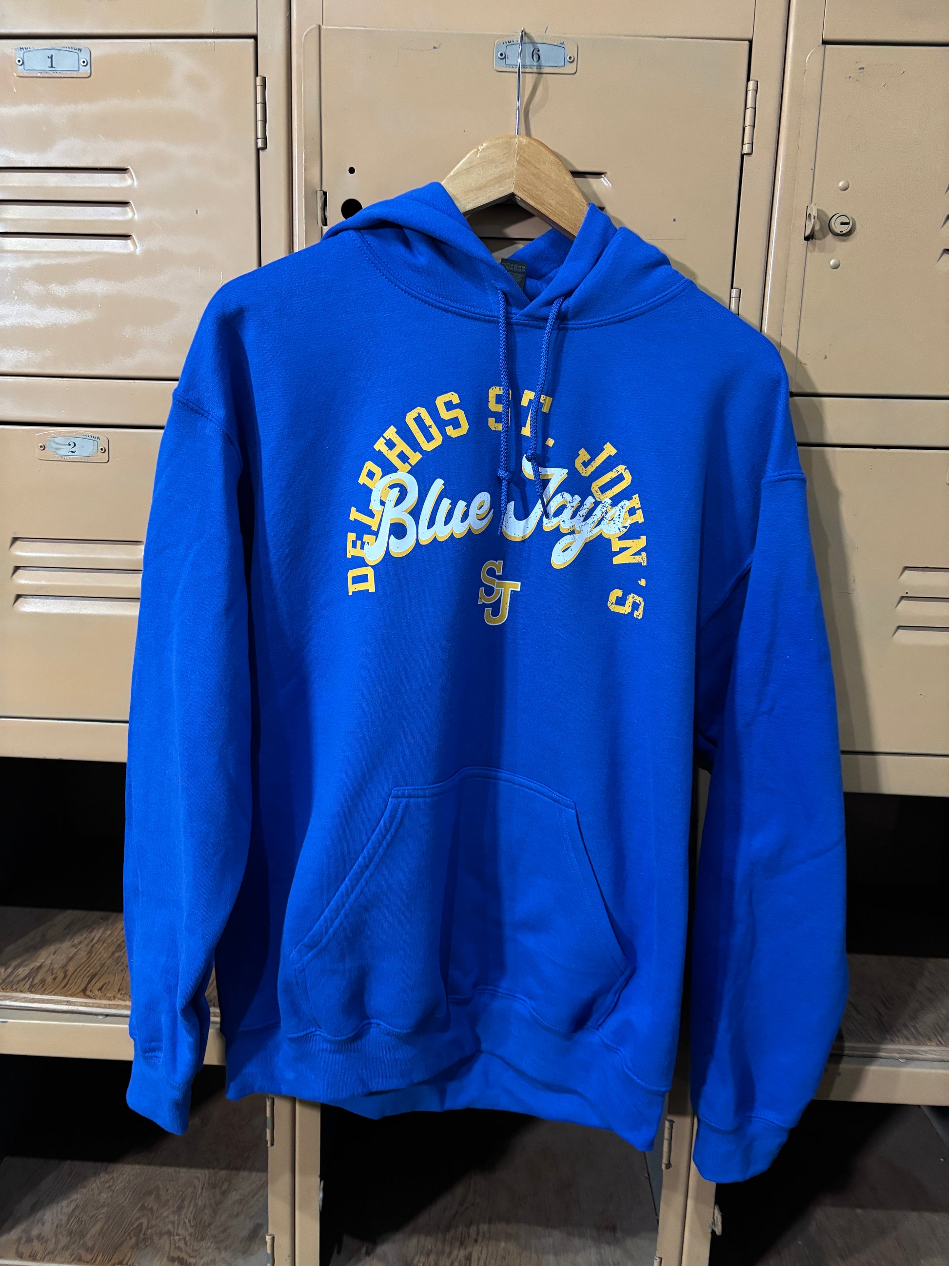 Delphos St. John's Vintage Hoodie
