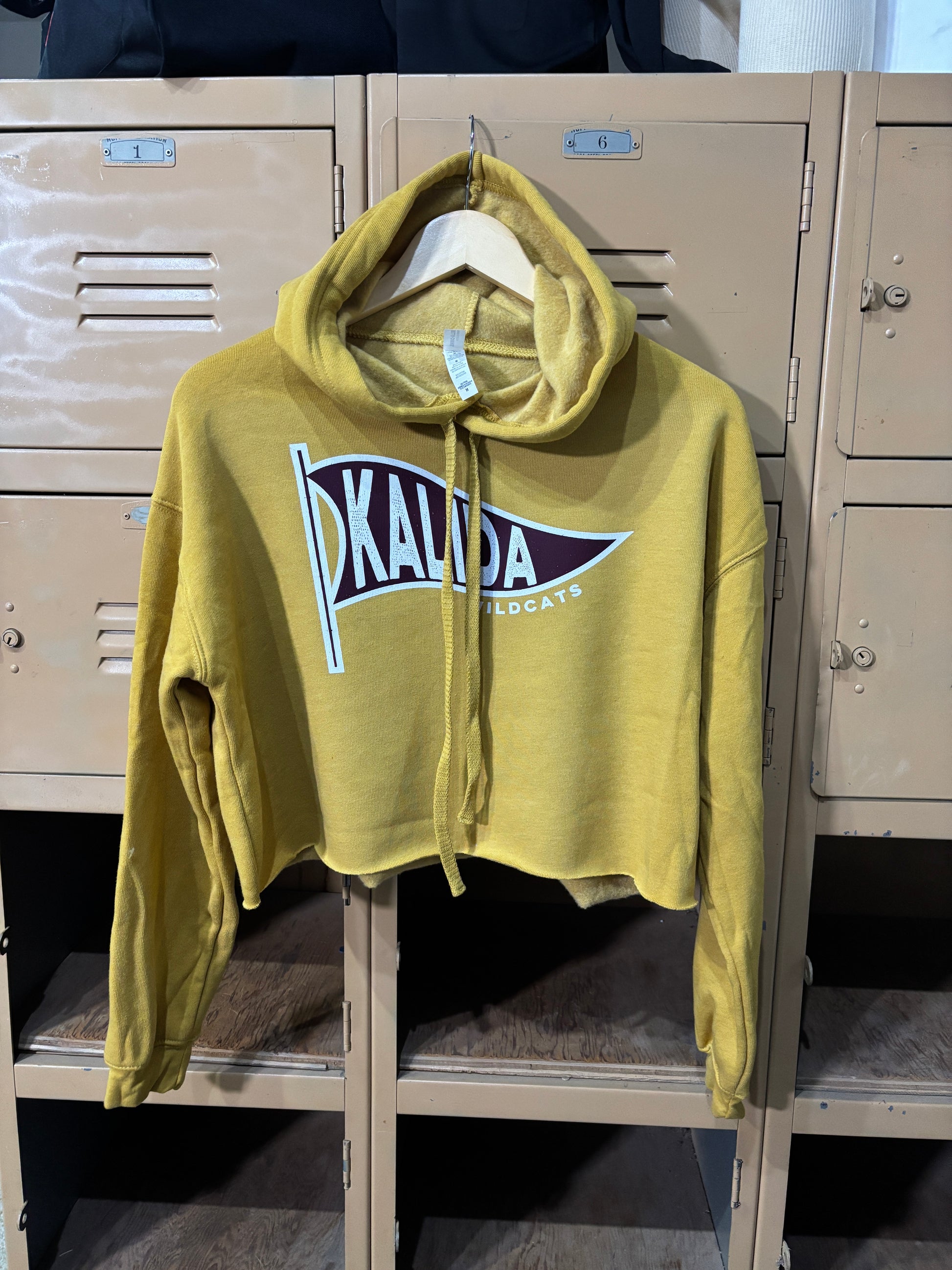 Kalida Pennant Cropped Hoodie