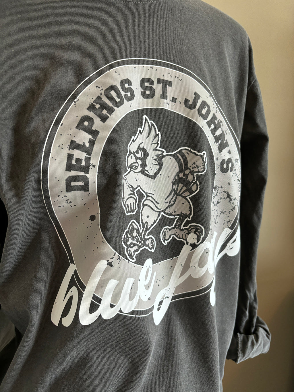 Lincolnview Long Sleeve Distressed Vintage T-Shirt