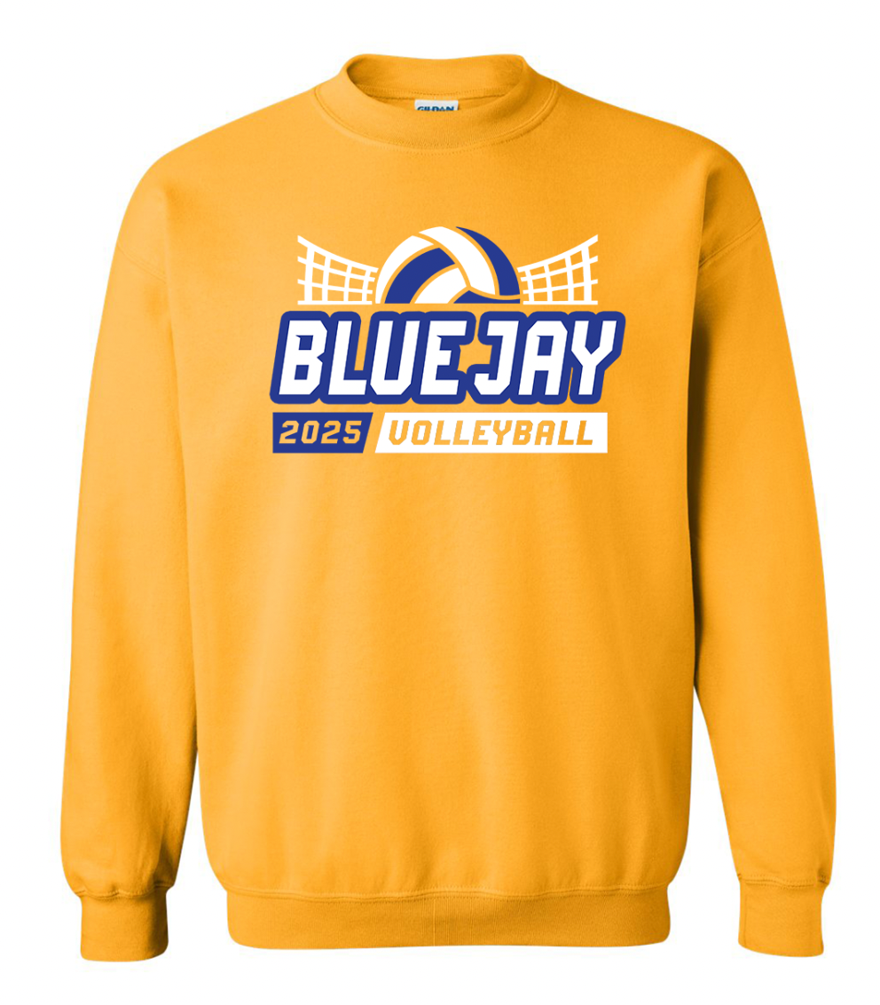 Delphos St. John's Girls Volleyball 2025 T-Shirt/Crew