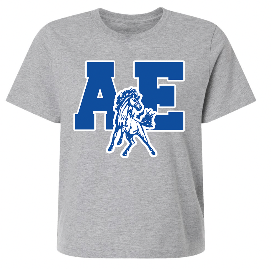 AE Woman's Boxy Tee
