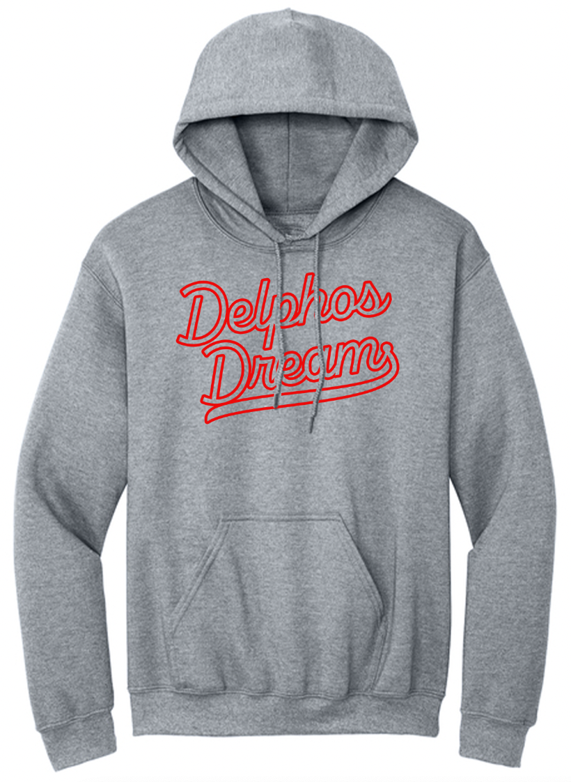 Delphos Dream Neon Lights Youth/Adult Hoodie