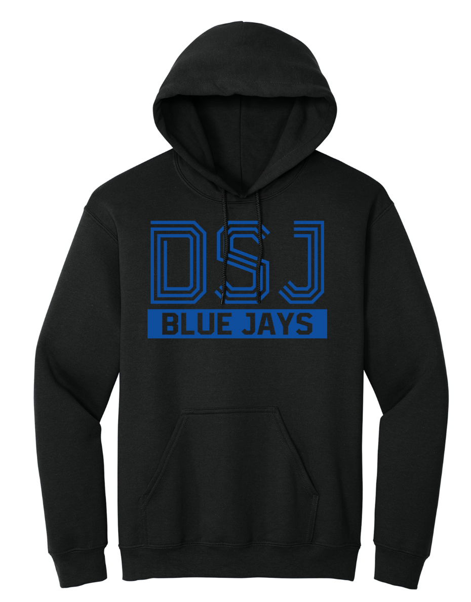 Delphos St. John's Striped Font Youth/Adult Hoodie