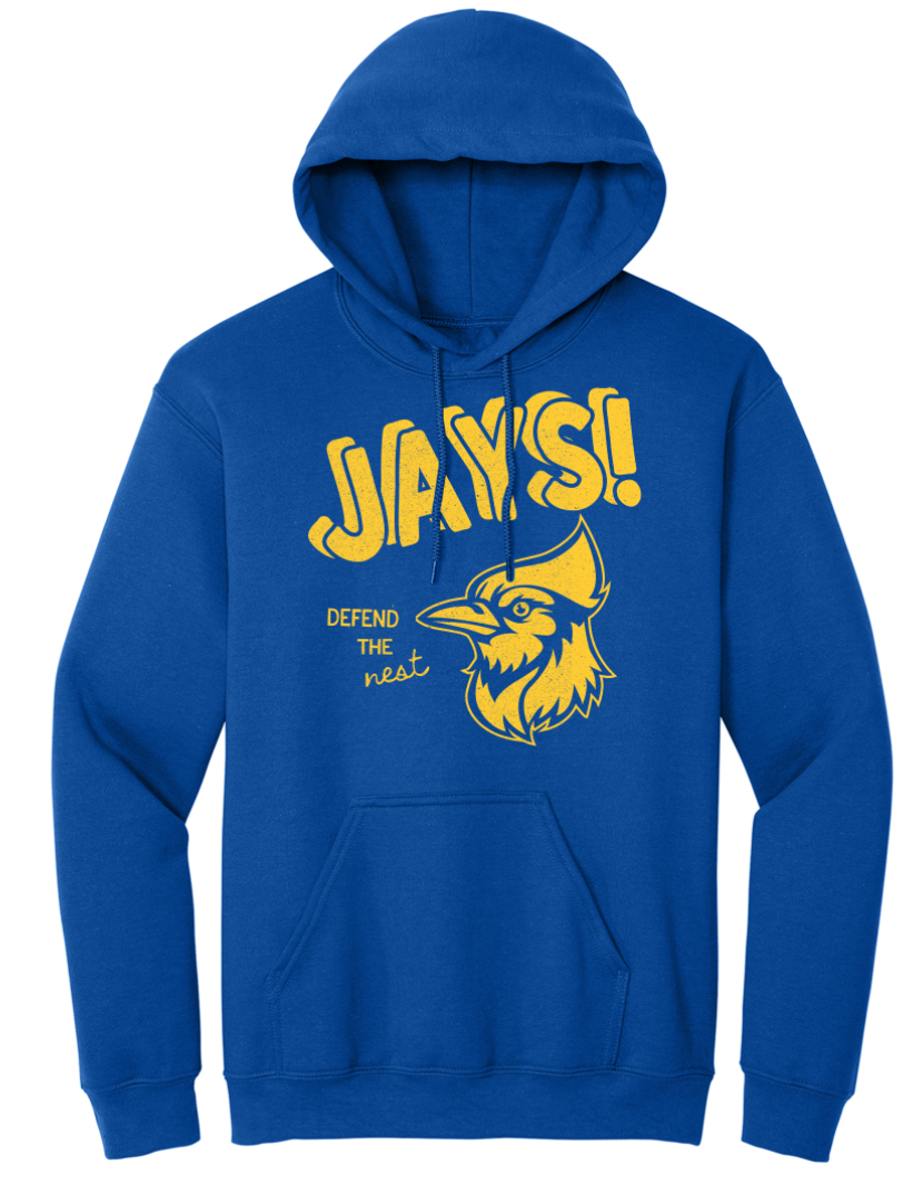 Delphos St. John's Defend The Nest Youth/Adult Hoodie