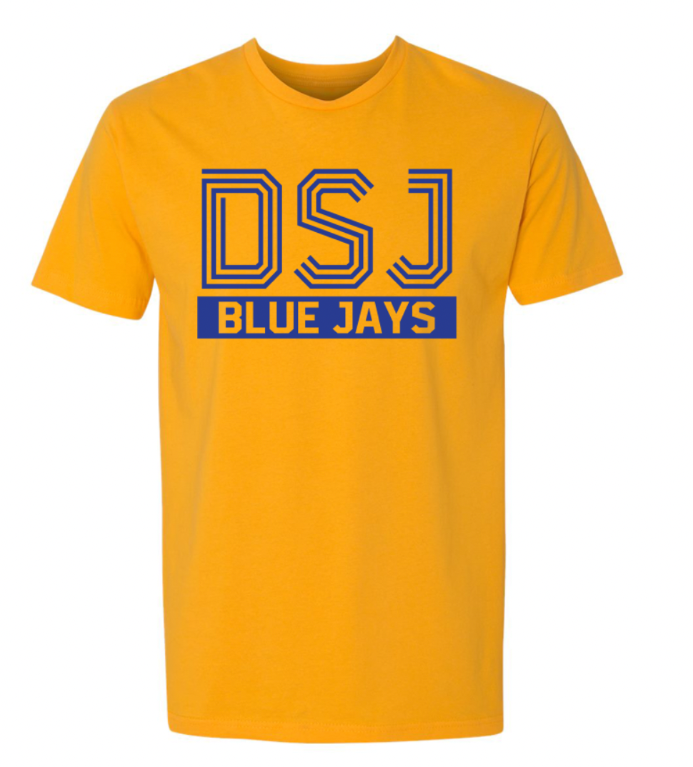 Delphos St. John's Striped Font Infant/Toddler/Youth/Adult T-Shirt