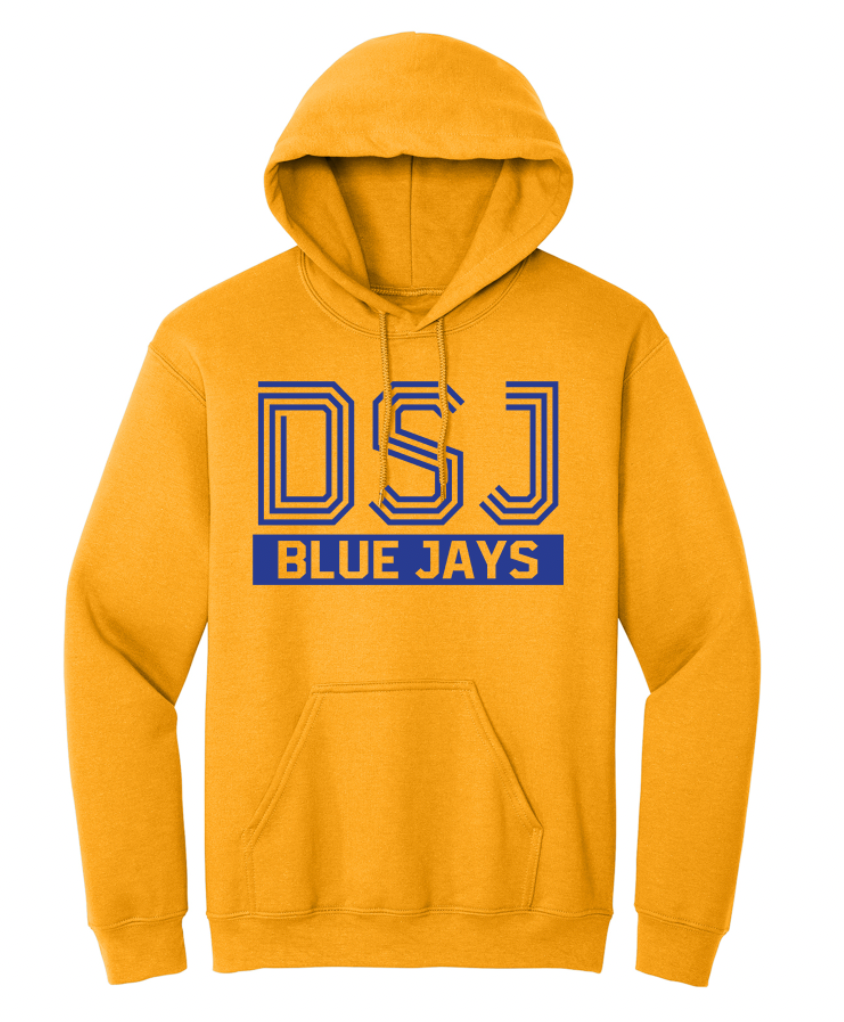 Delphos St. John's Striped Font Youth/Adult Hoodie