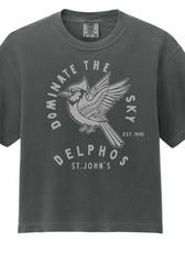 Dominate The Sky Delphos St. John's Pepper Adult T-Shirt